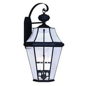 Livex Lighting 2366-02 Georgetown Outdoor Wall Lantern in Polished Brass 